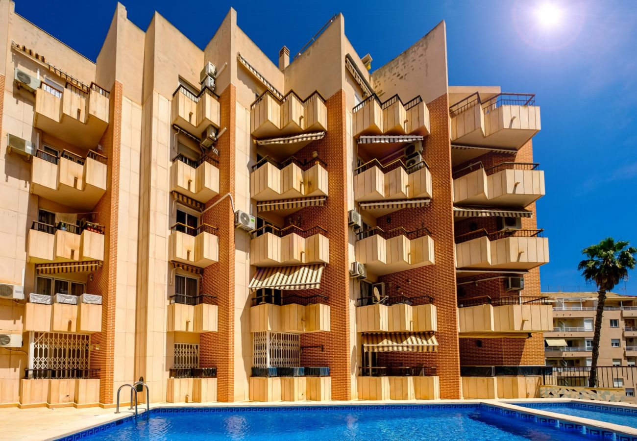 Apartamento en Torrevieja - ID10