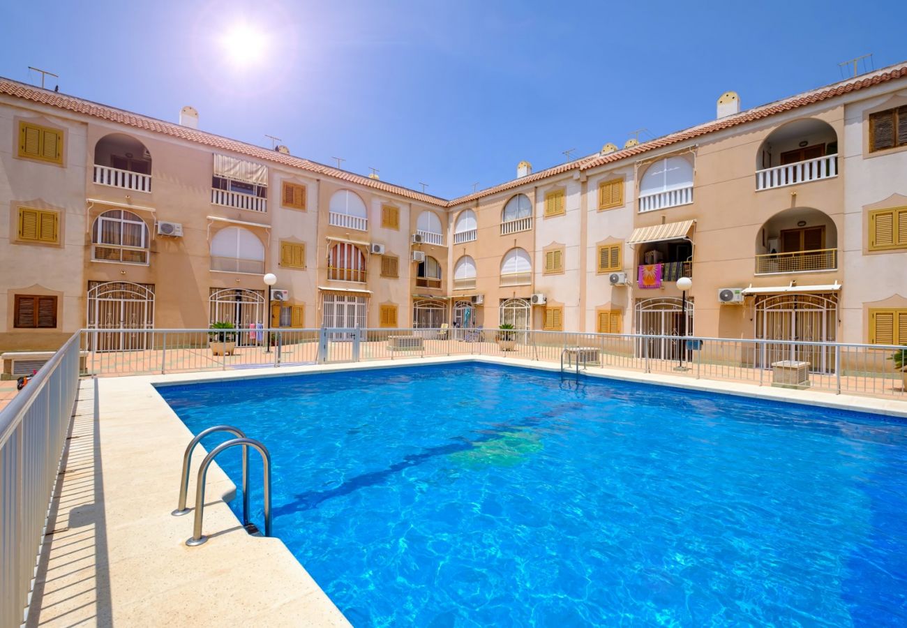 Apartamento en Torrevieja - ID174