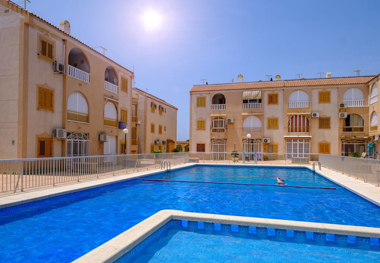 Apartamento en Torrevieja - ID174