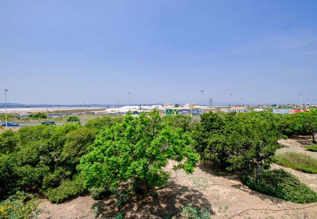 Apartamento en Torrevieja - ID174