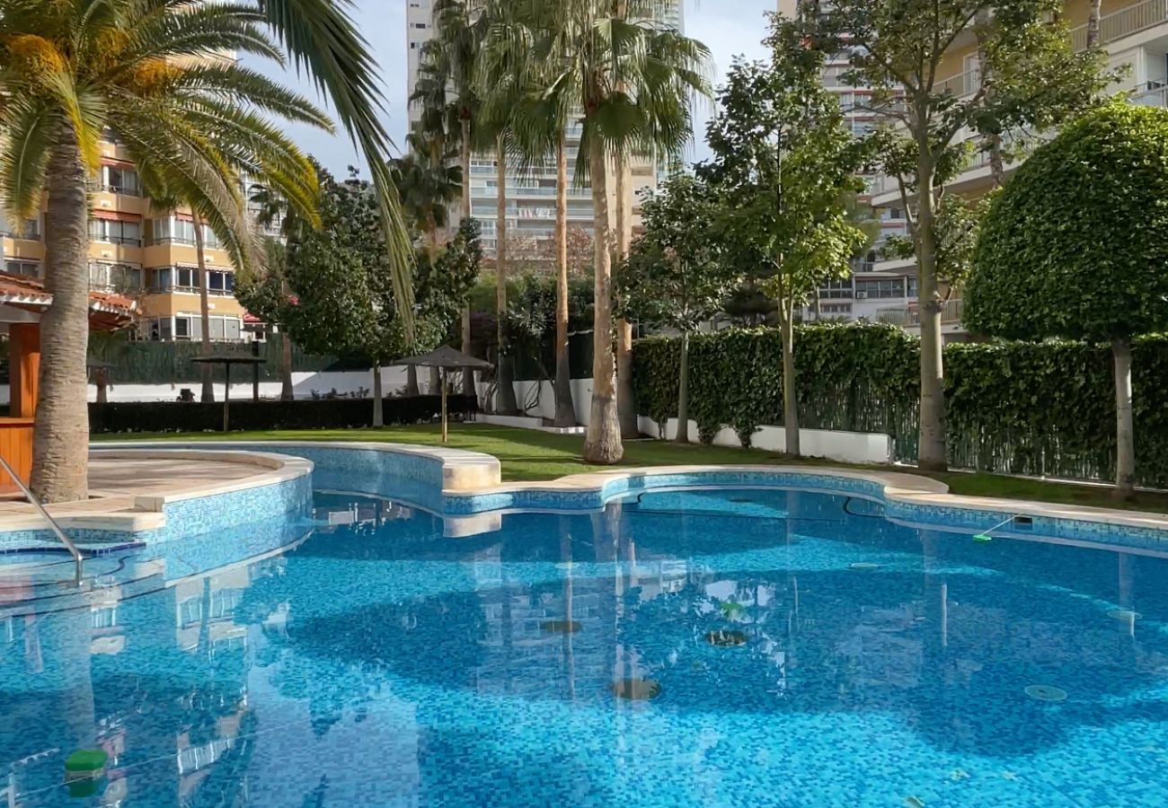 Apartamento en Benidorm - Apartamento Londres con vistas al mar