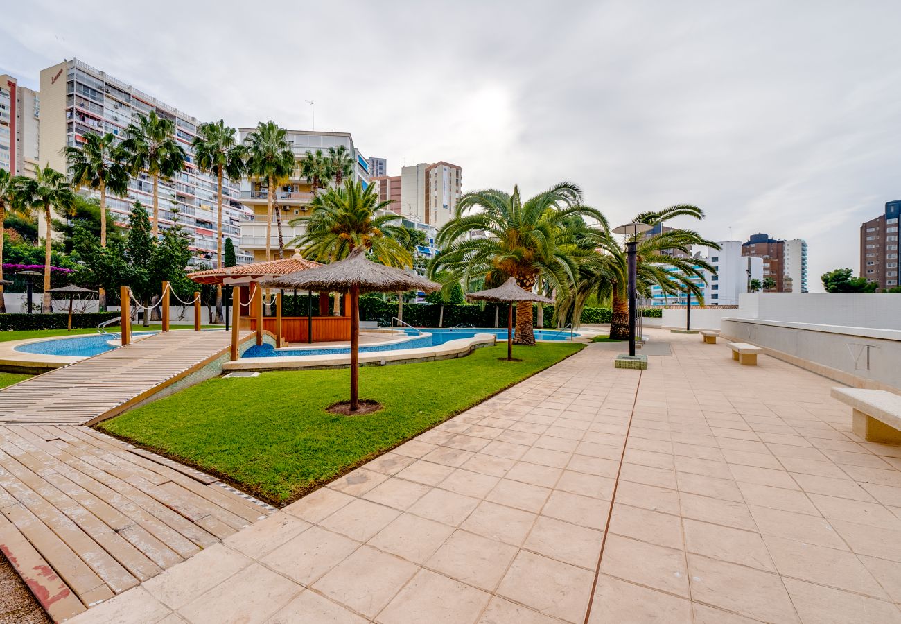 Apartamento en Benidorm - Apartamento Londres con vistas al mar