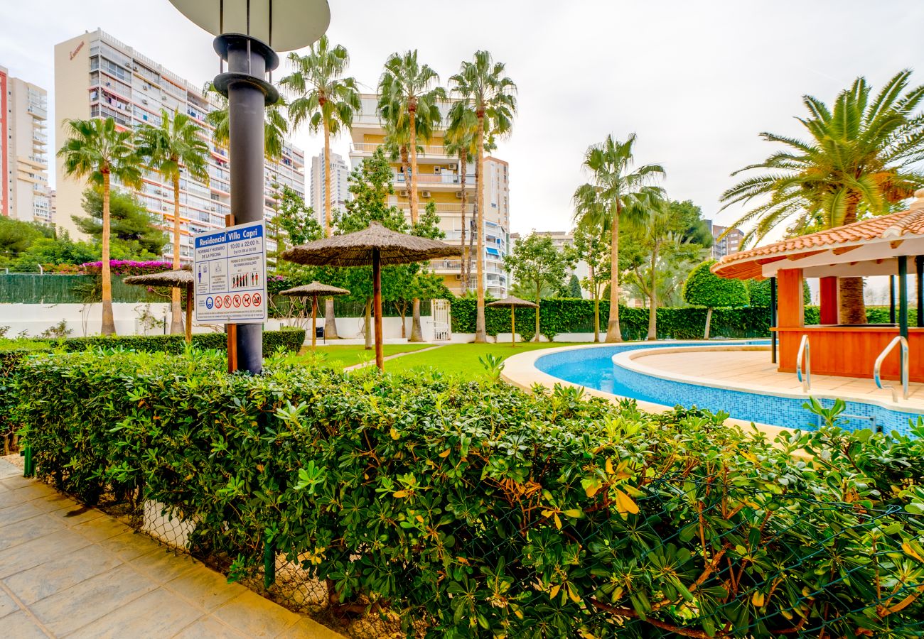 Apartamento en Benidorm - Apartamento Londres con vistas al mar