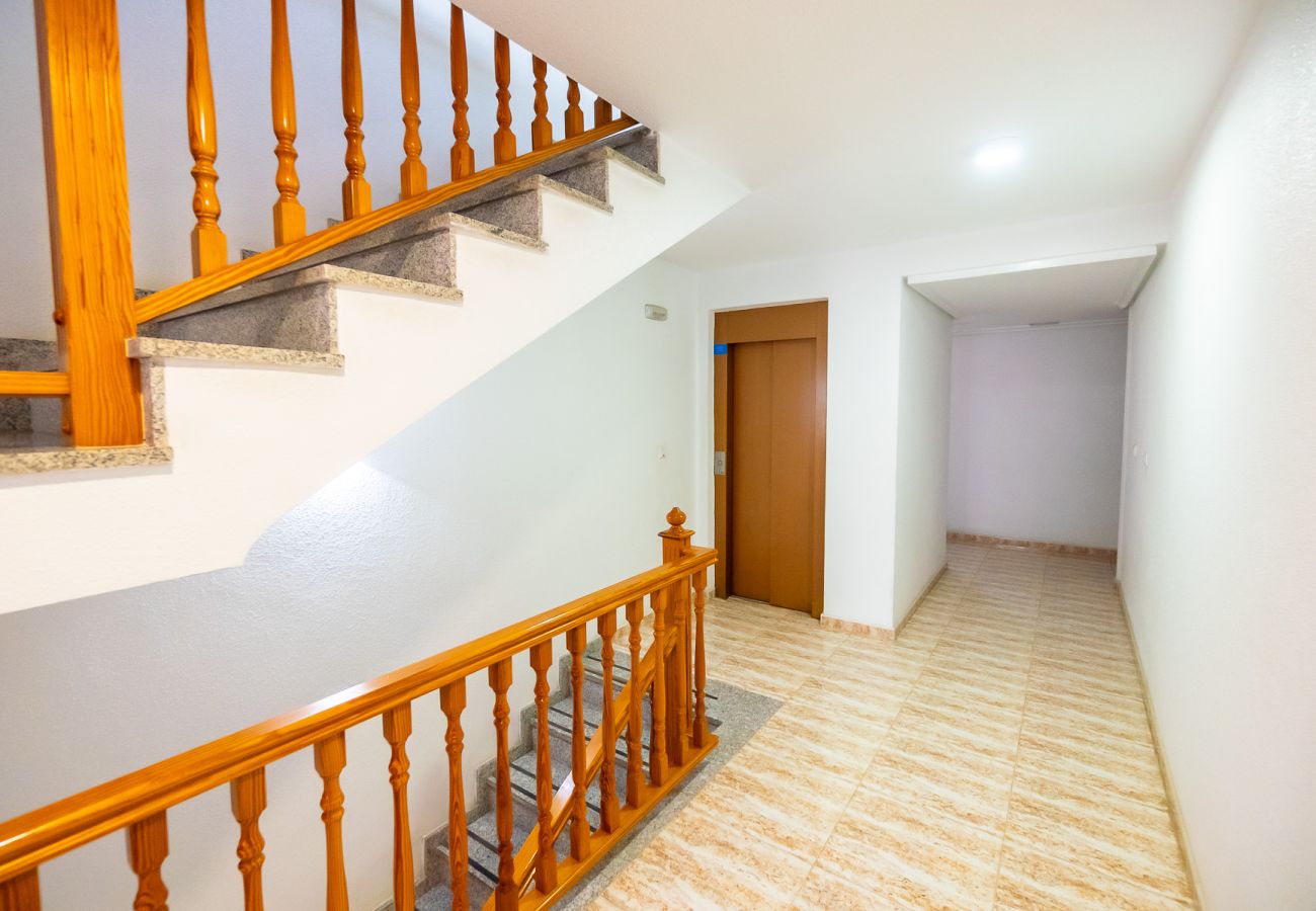 Apartamento en Torrevieja - ID197