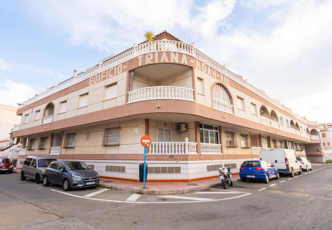 Apartamento en Torrevieja - ID197