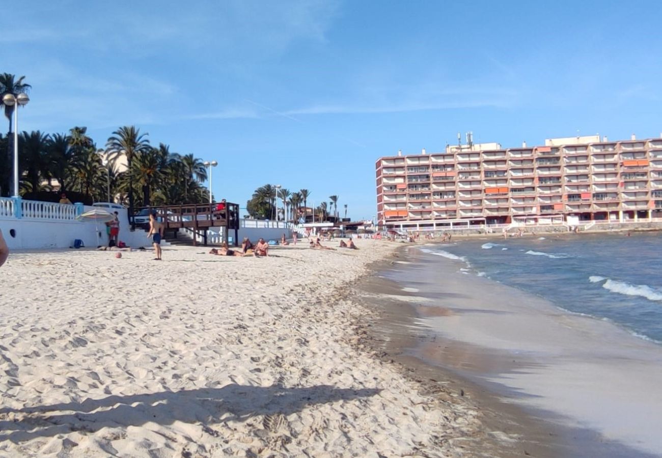 Apartamento en Torrevieja - ID197