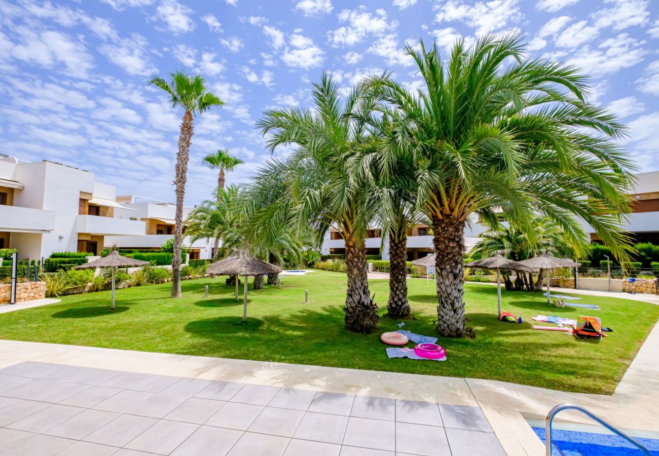 Bungalow en La Zenia - ID139