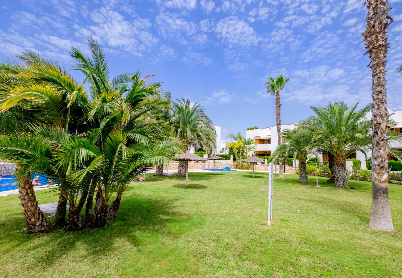 Bungalow en La Zenia - ID139