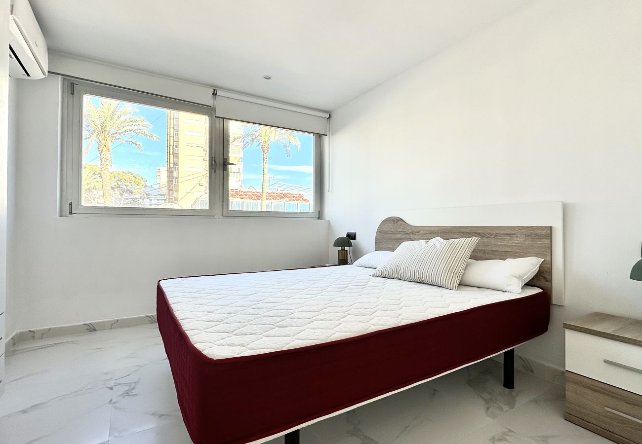 Apartamento en Benidorm - Playa Levante Estudio 1