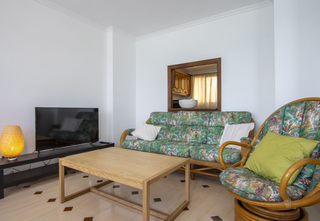 Apartamento en Torrevieja - ID185