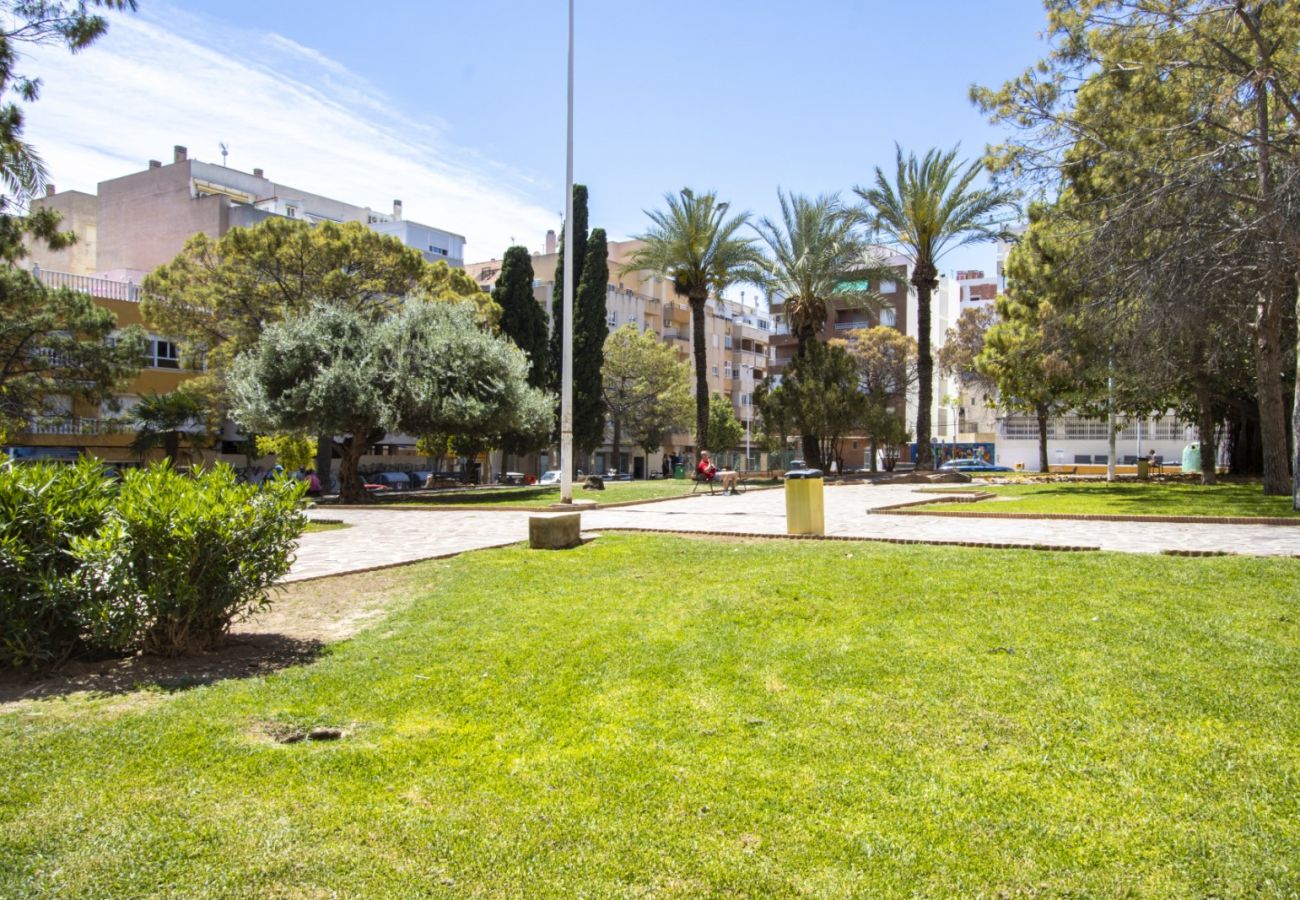 Apartamento en Torrevieja - ID86