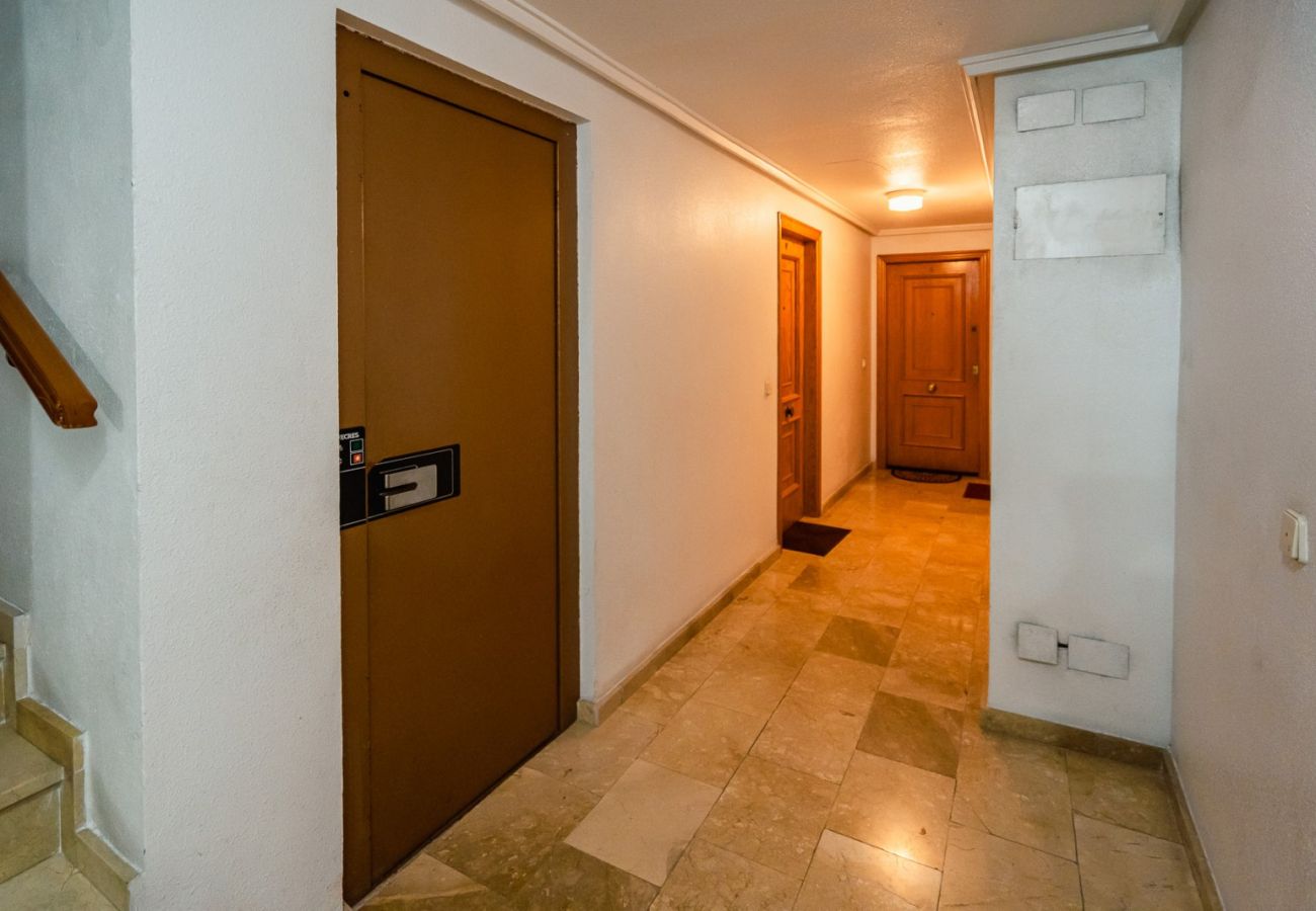 Apartamento en Torrevieja - ID143