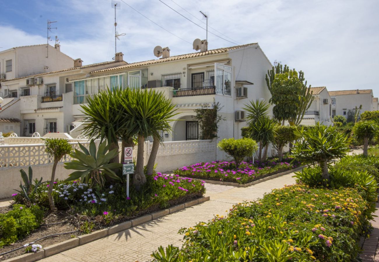 Apartamento en Torrevieja - ID189