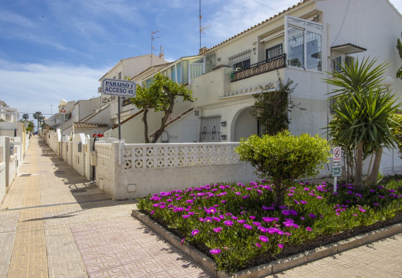 Apartamento en Torrevieja - ID189