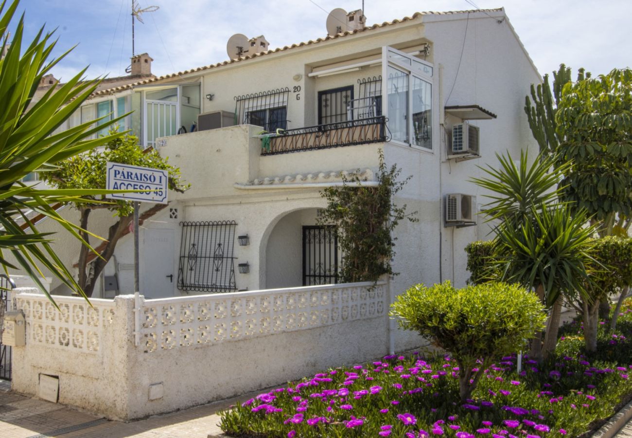 Apartamento en Torrevieja - ID189