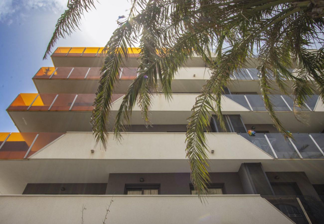 Apartamento en Torrevieja - ID149