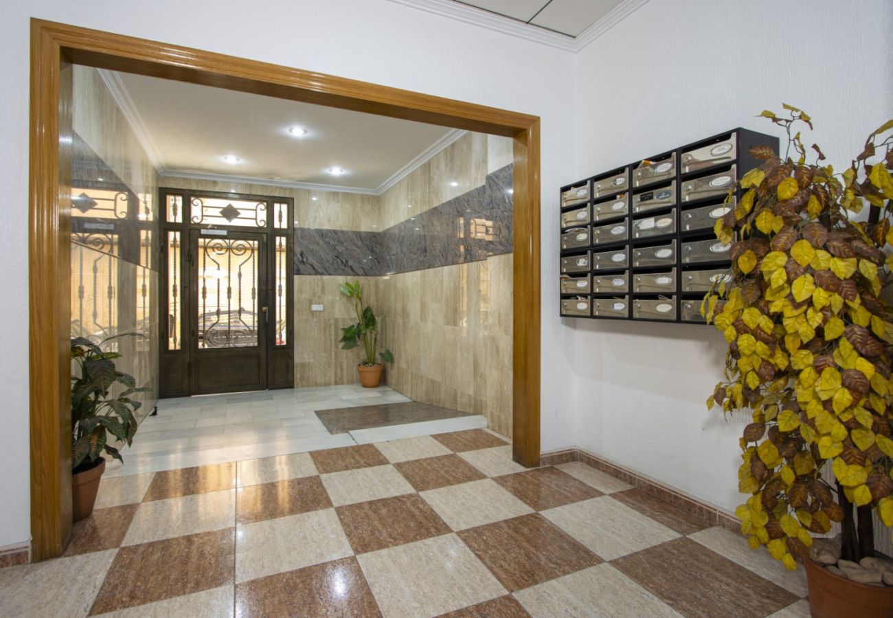 Apartamento en Torrevieja - ID20