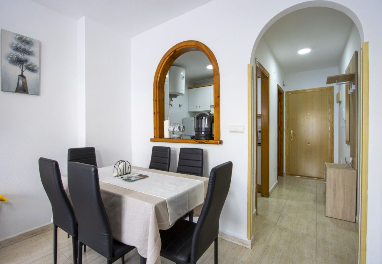 Apartamento en Torrevieja - ID104