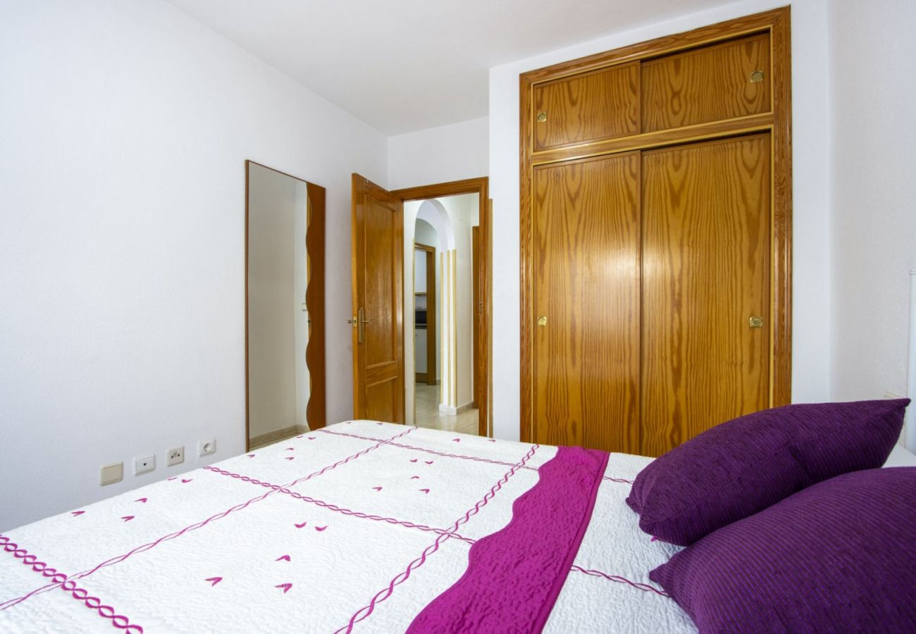 Apartamento en Torrevieja - ID104