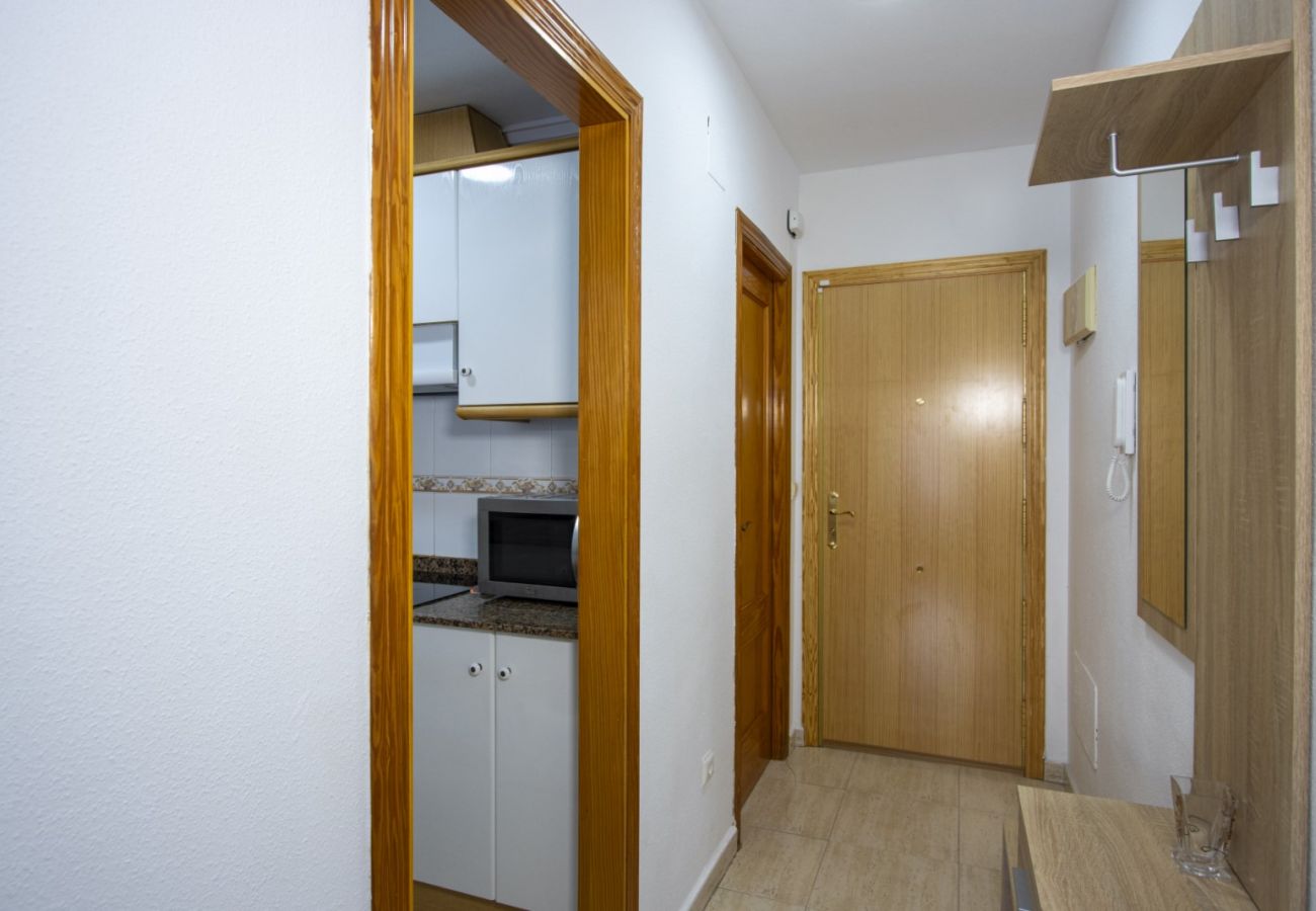 Apartamento en Torrevieja - ID104