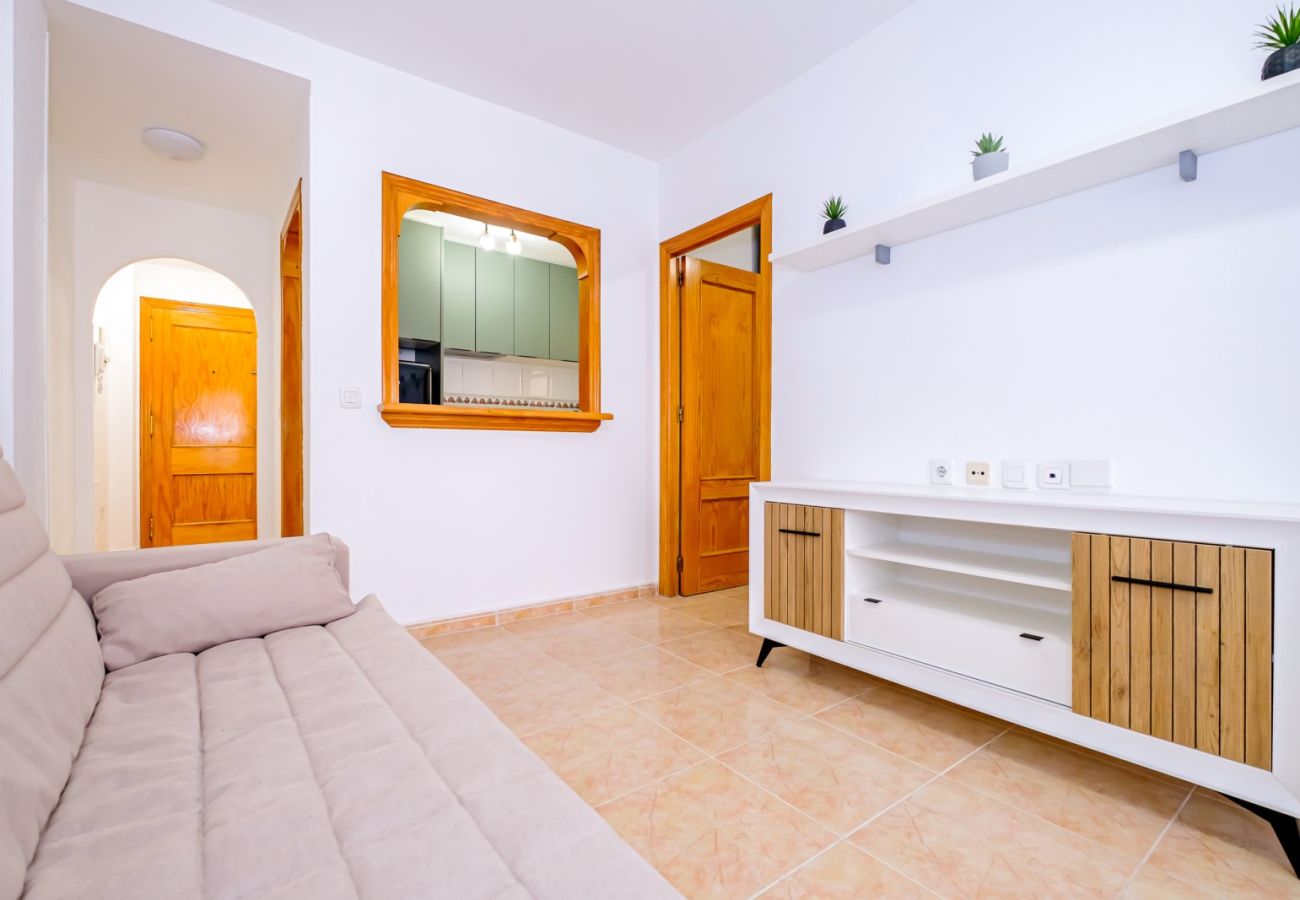 Apartamento en Torrevieja - ID202