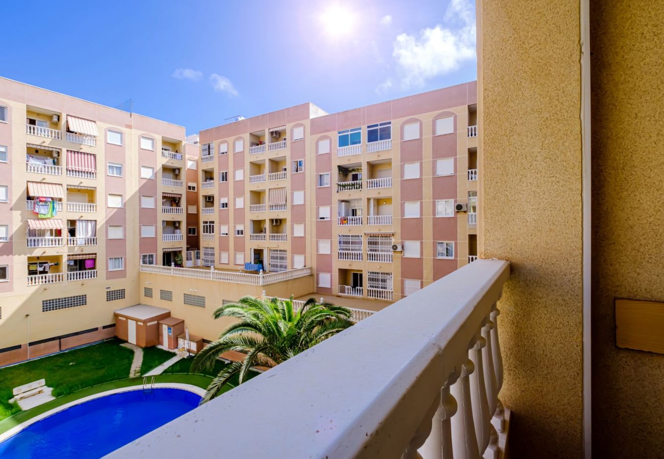 Apartamento en Torrevieja - ID202