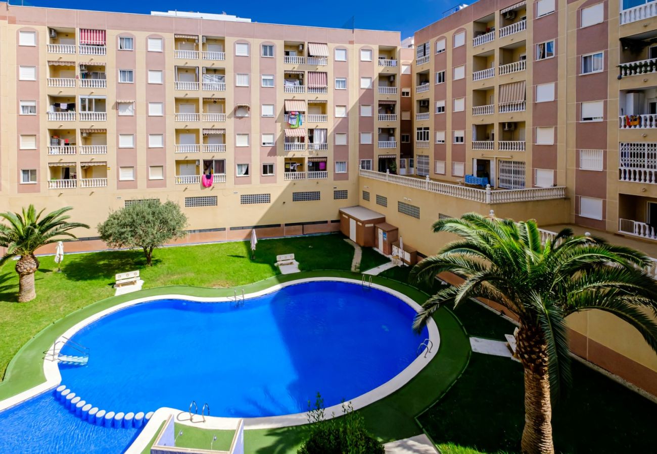 Apartamento en Torrevieja - ID202