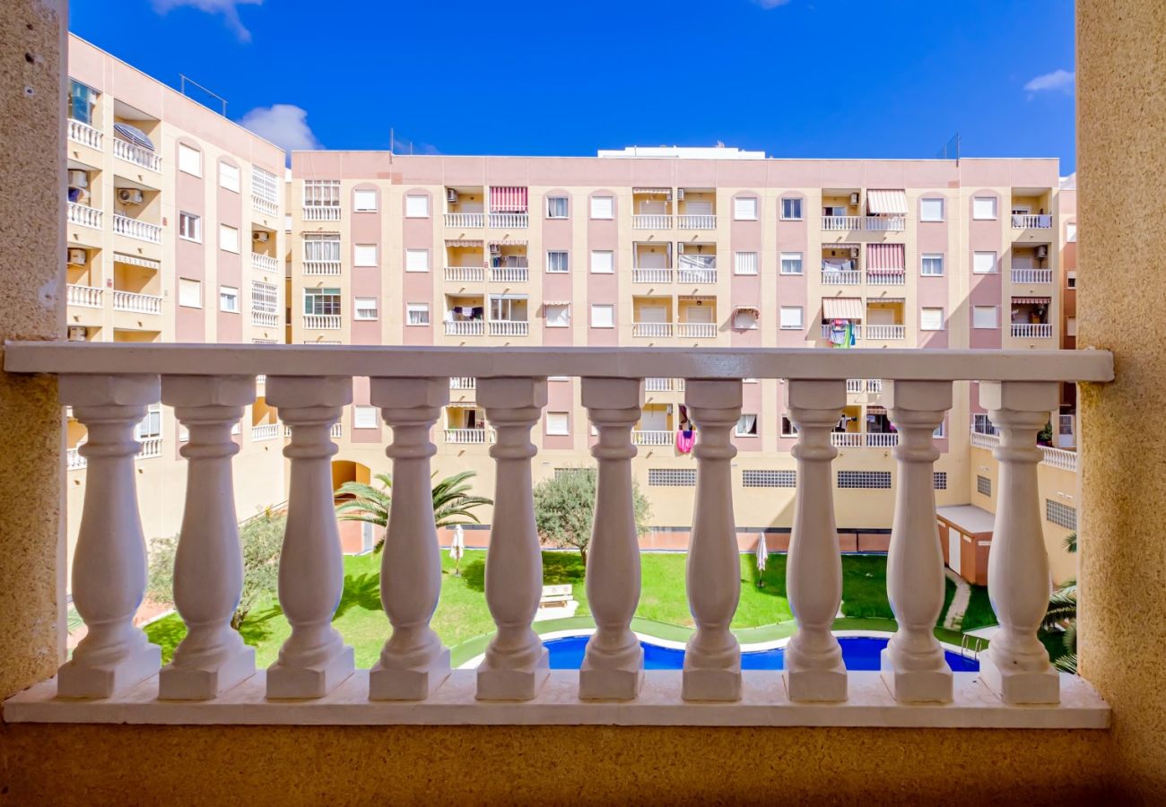 Apartamento en Torrevieja - ID202