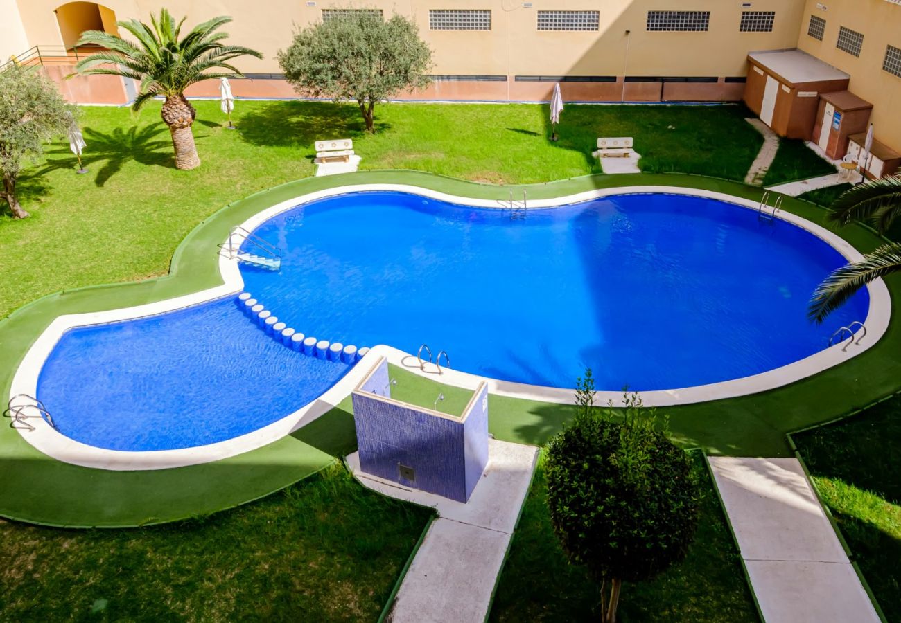 Apartamento en Torrevieja - ID202