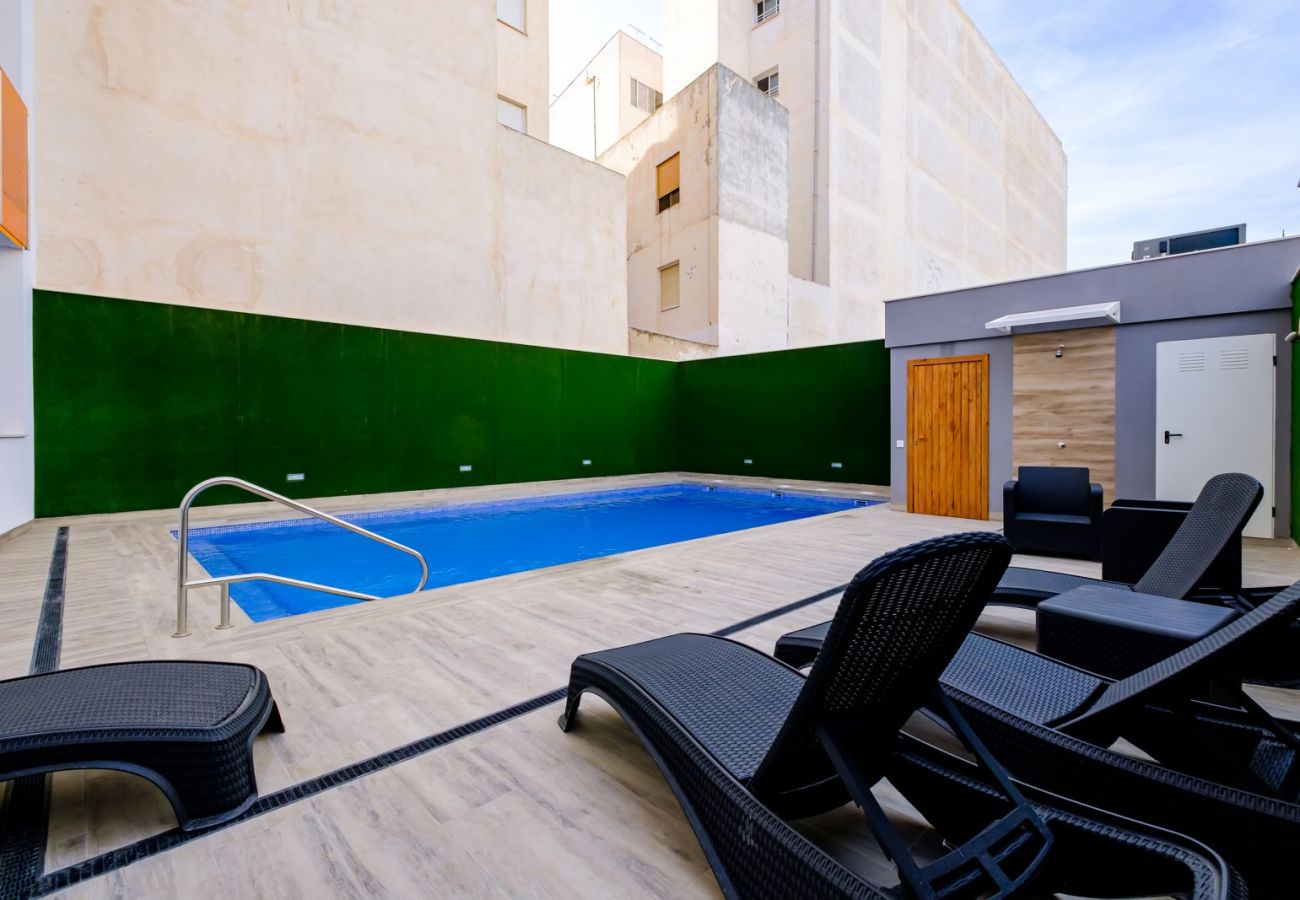 Apartamento en Torrevieja - ID186