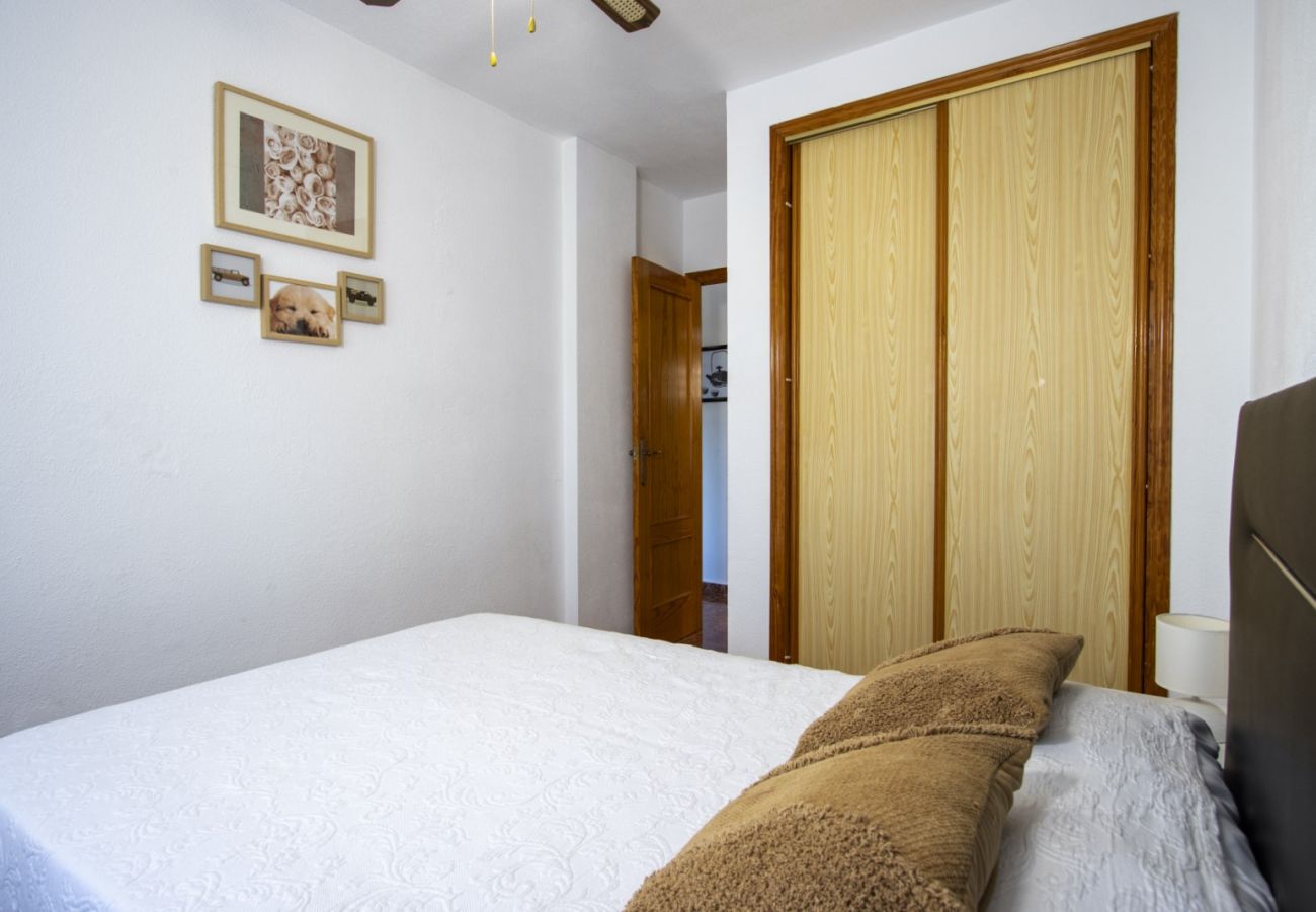 Apartamento en Torrevieja - ID155