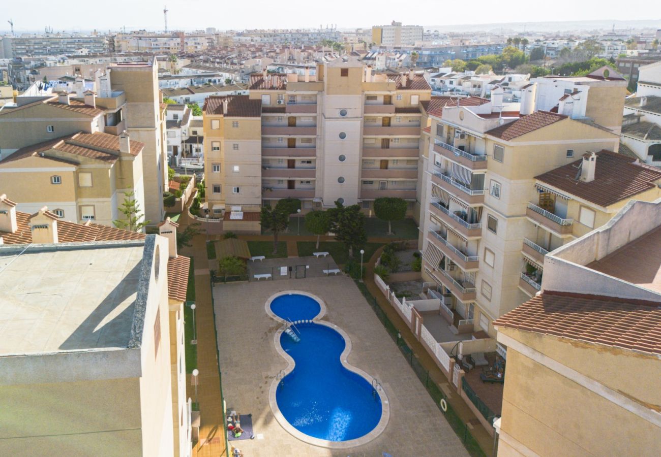 Apartamento en Torrevieja - ID155