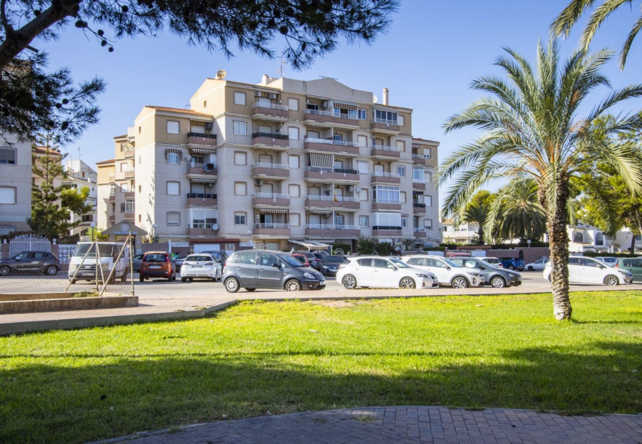 Apartamento en Torrevieja - ID155