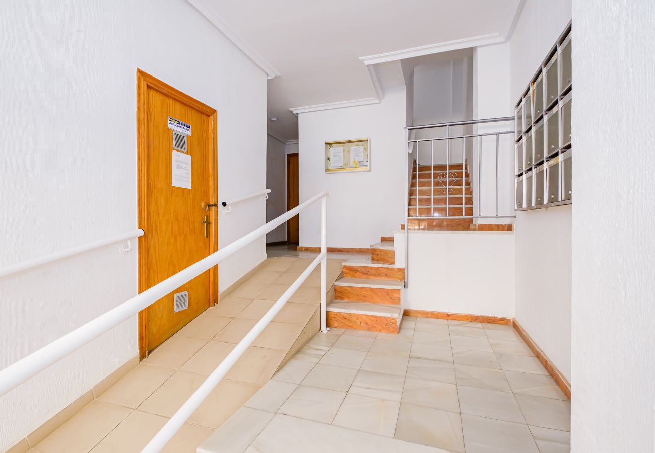 Apartment in Torrevieja - ID19