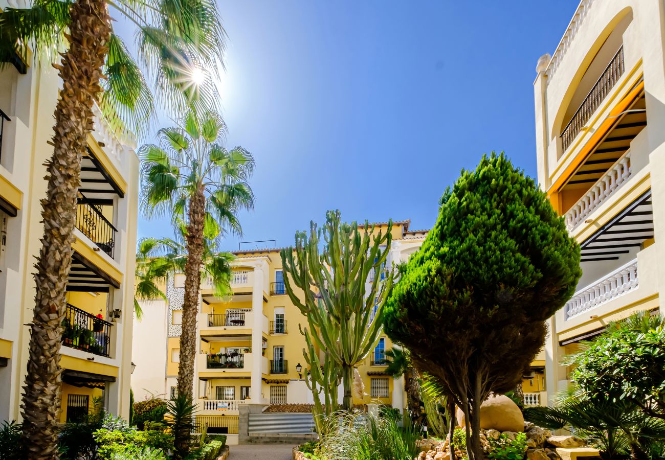 Apartment in Torrevieja - ID37