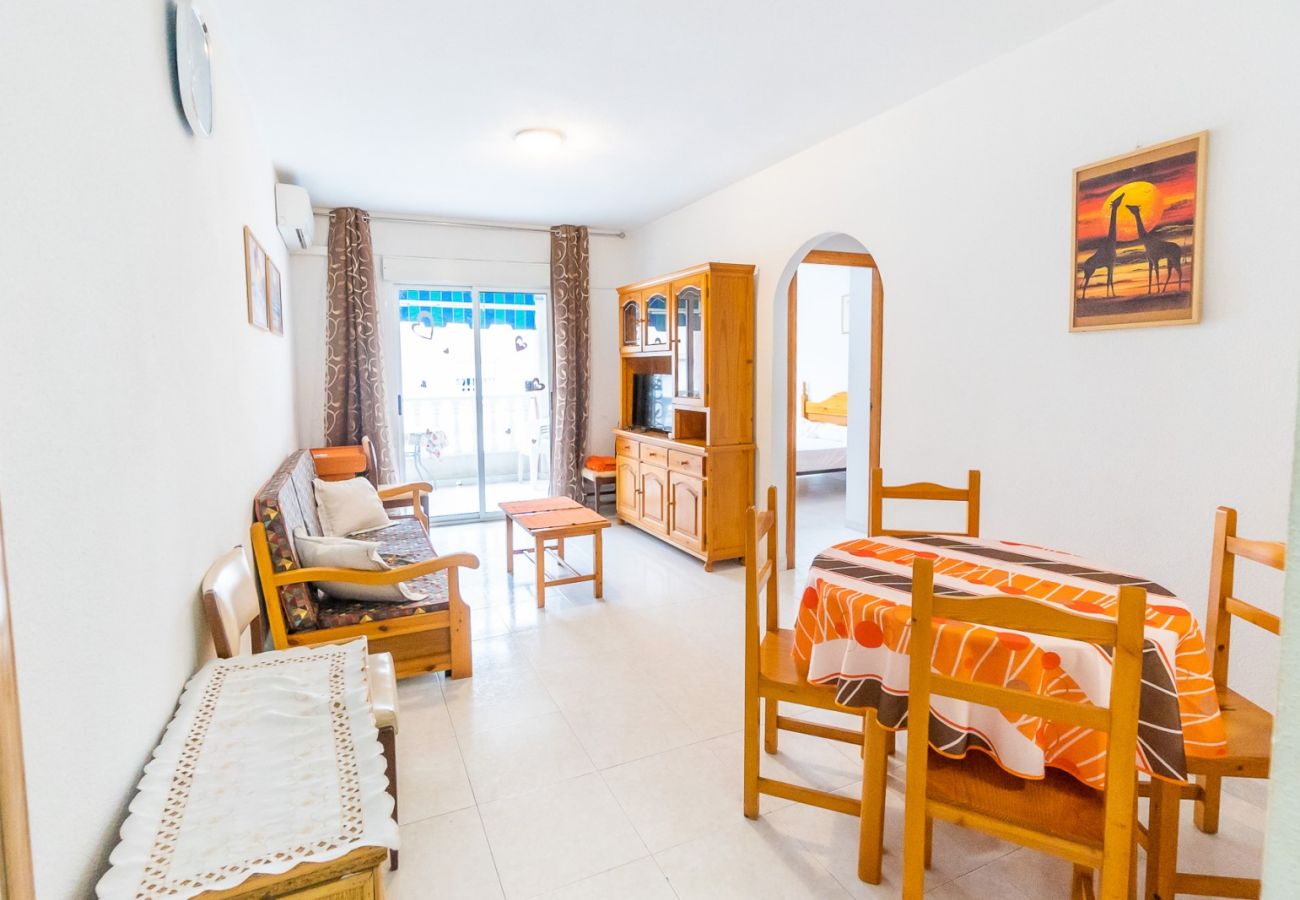 Apartment in Torrevieja - ID70