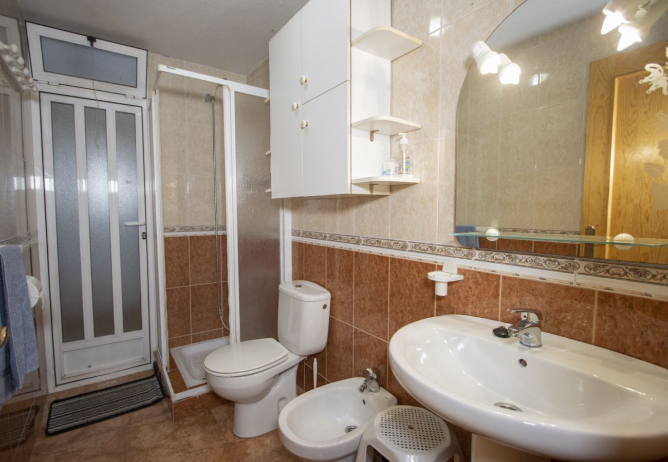 Apartment in Torrevieja - ID40