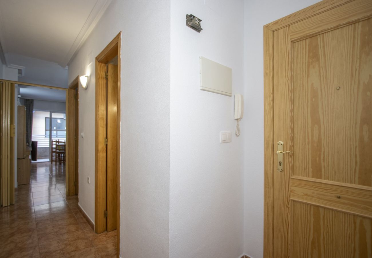 Apartment in Torrevieja - ID40