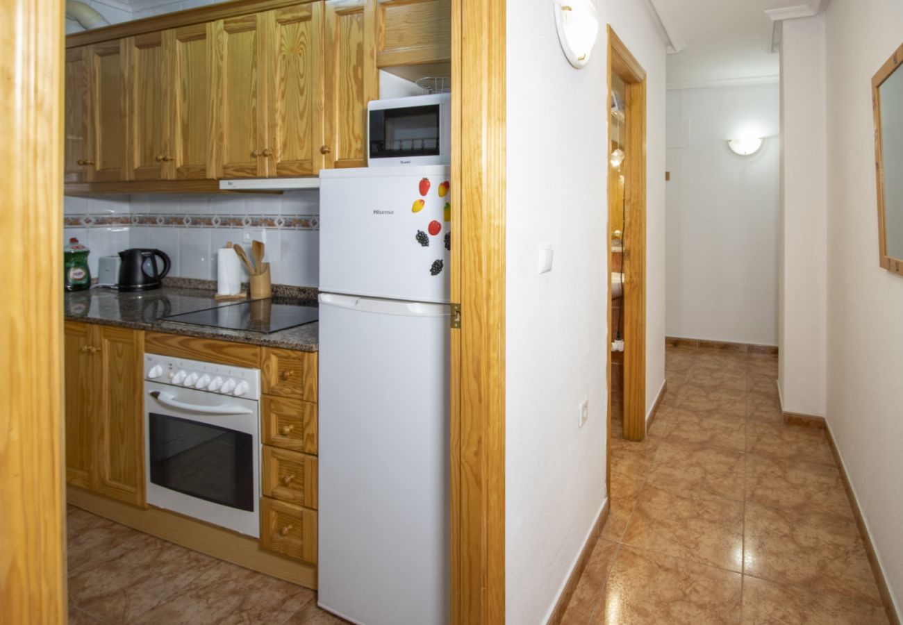 Apartment in Torrevieja - ID40