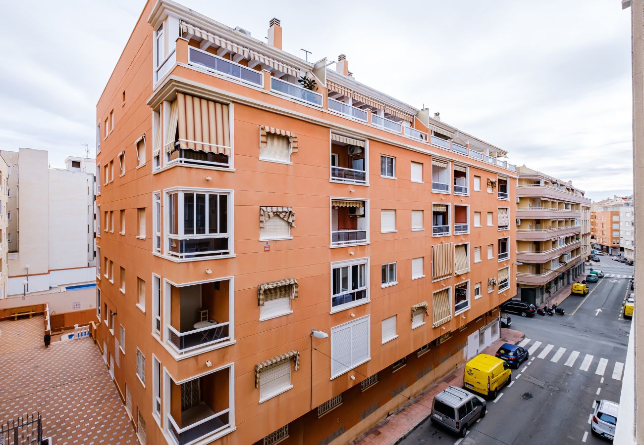 Apartment in Torrevieja - ID73