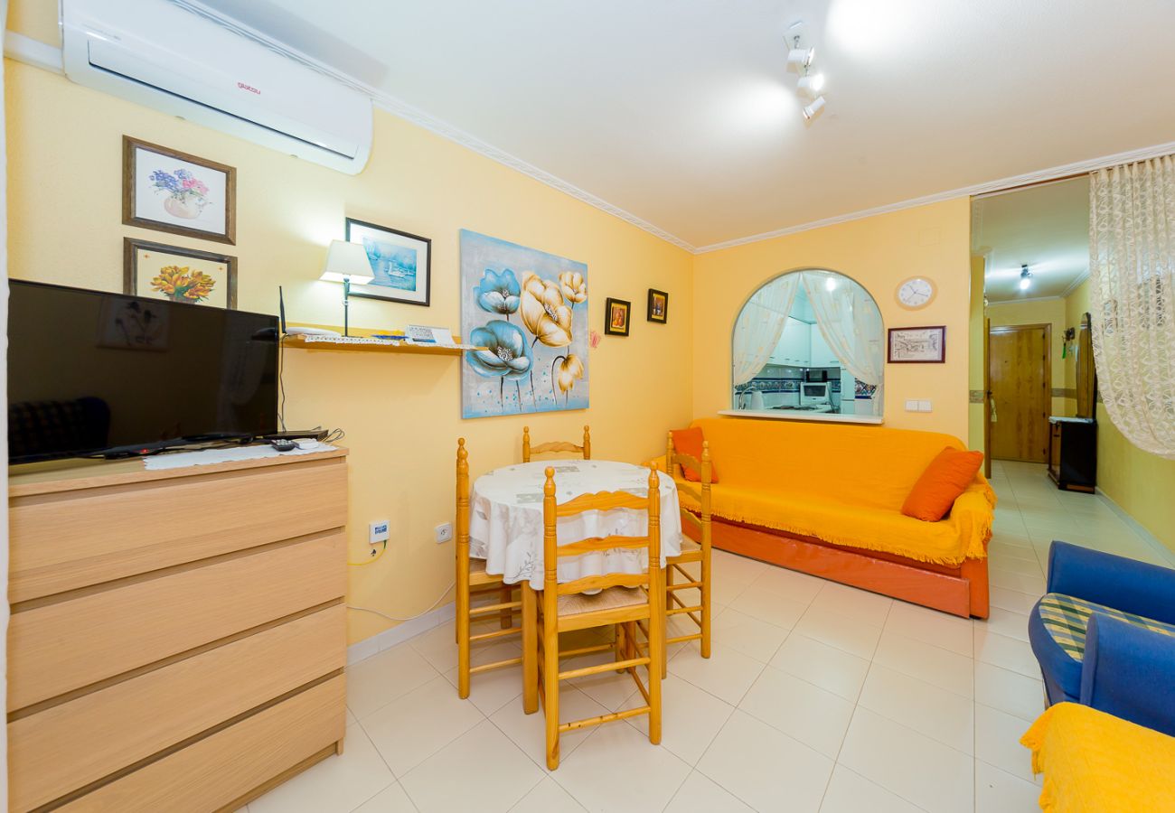 Apartment in Torrevieja - ID45