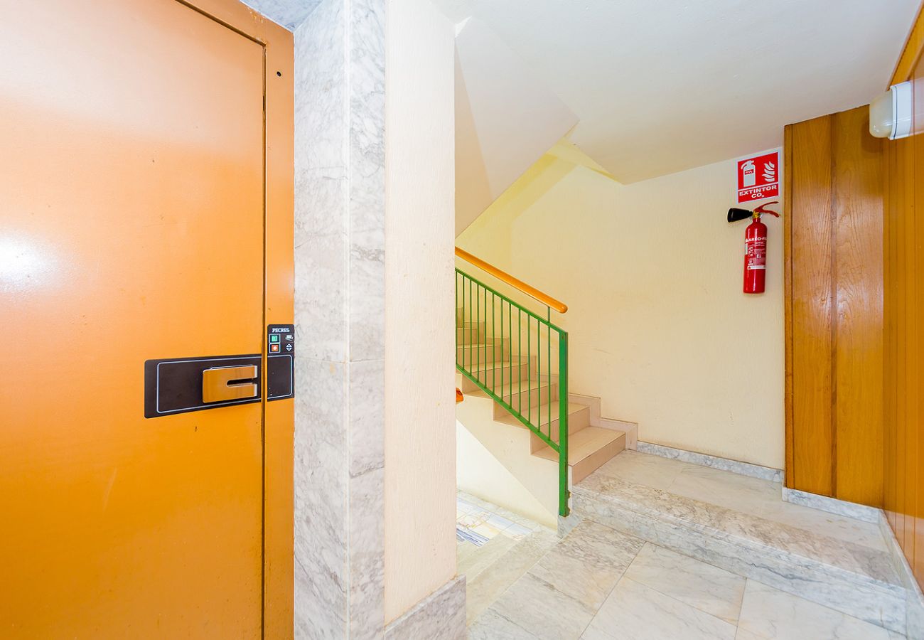 Apartment in Torrevieja - ID45