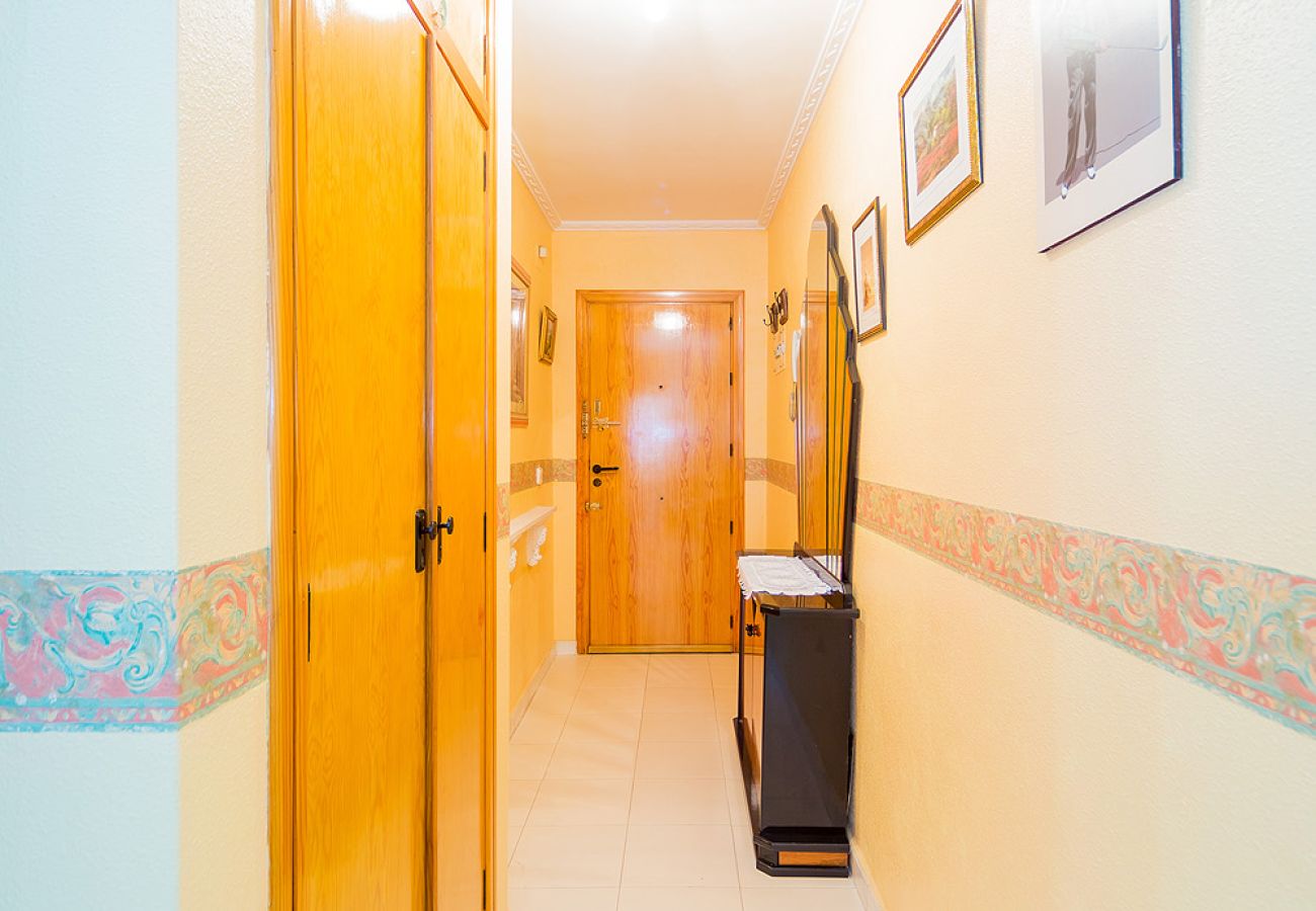 Apartment in Torrevieja - ID45