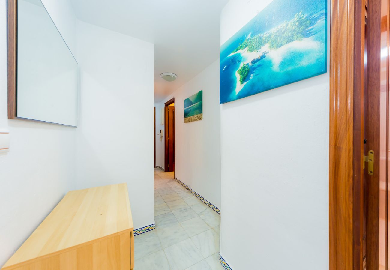 Apartment in Torrevieja - ID47