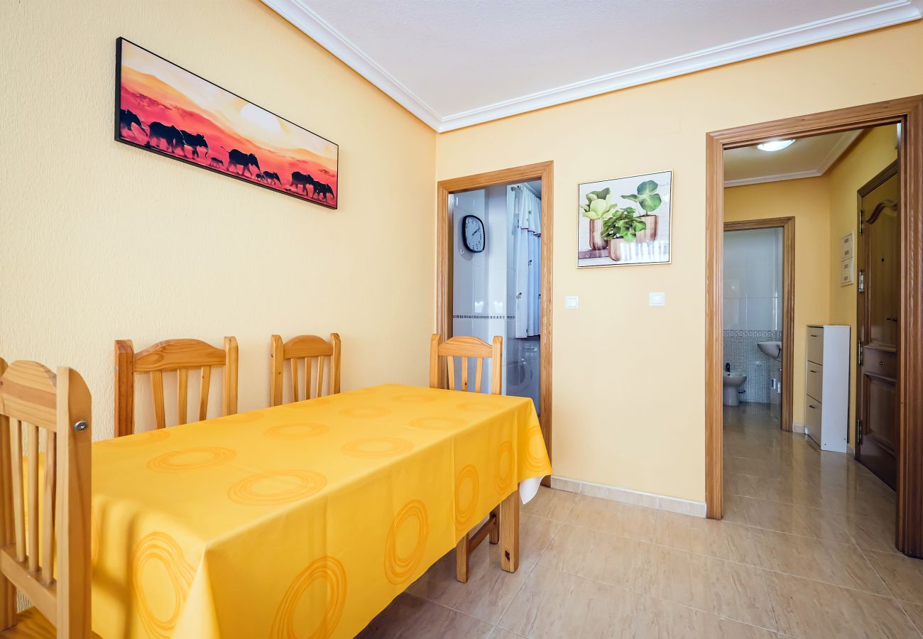 Apartment in Torrevieja - ID48