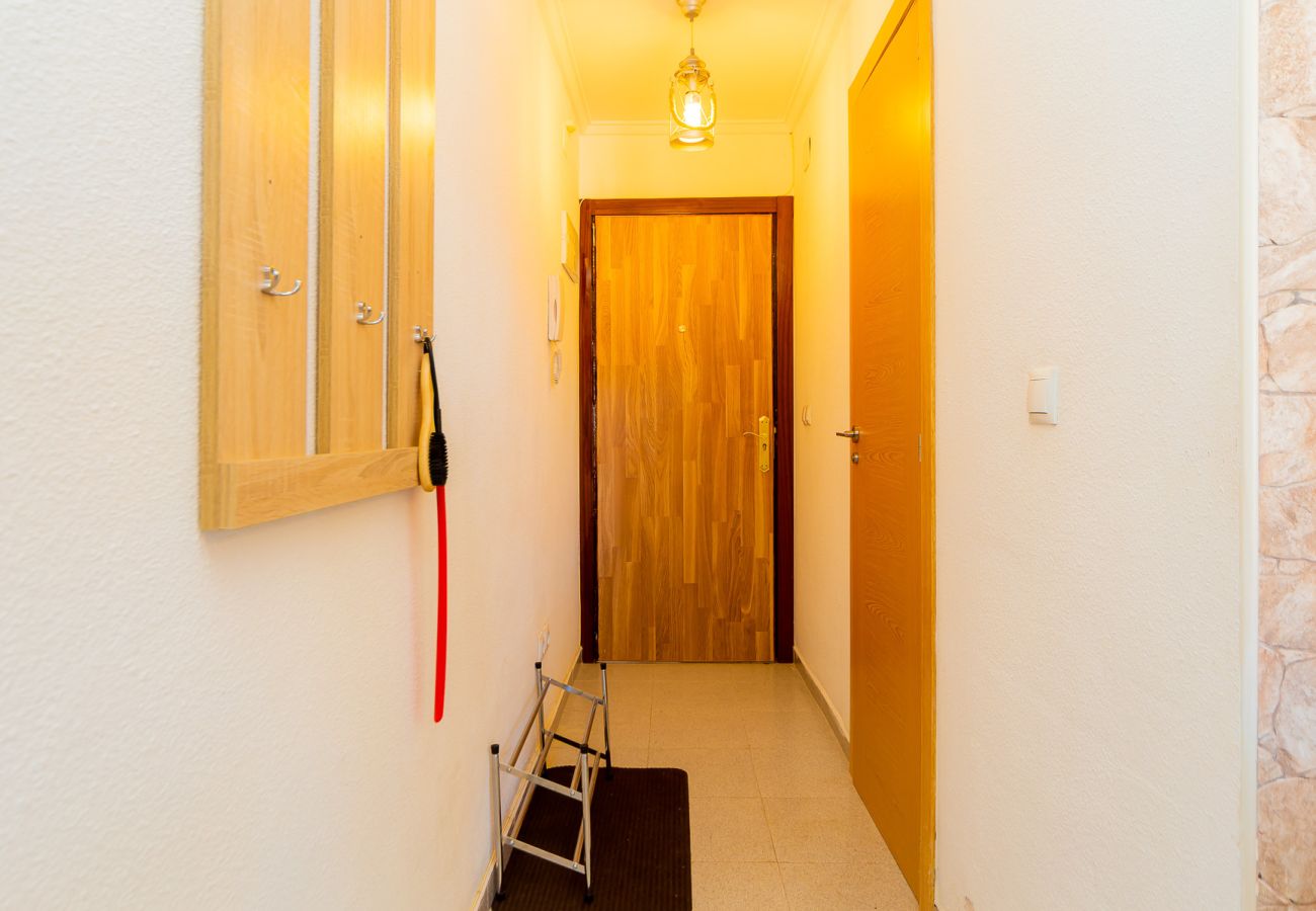 Apartment in Torrevieja - ID49