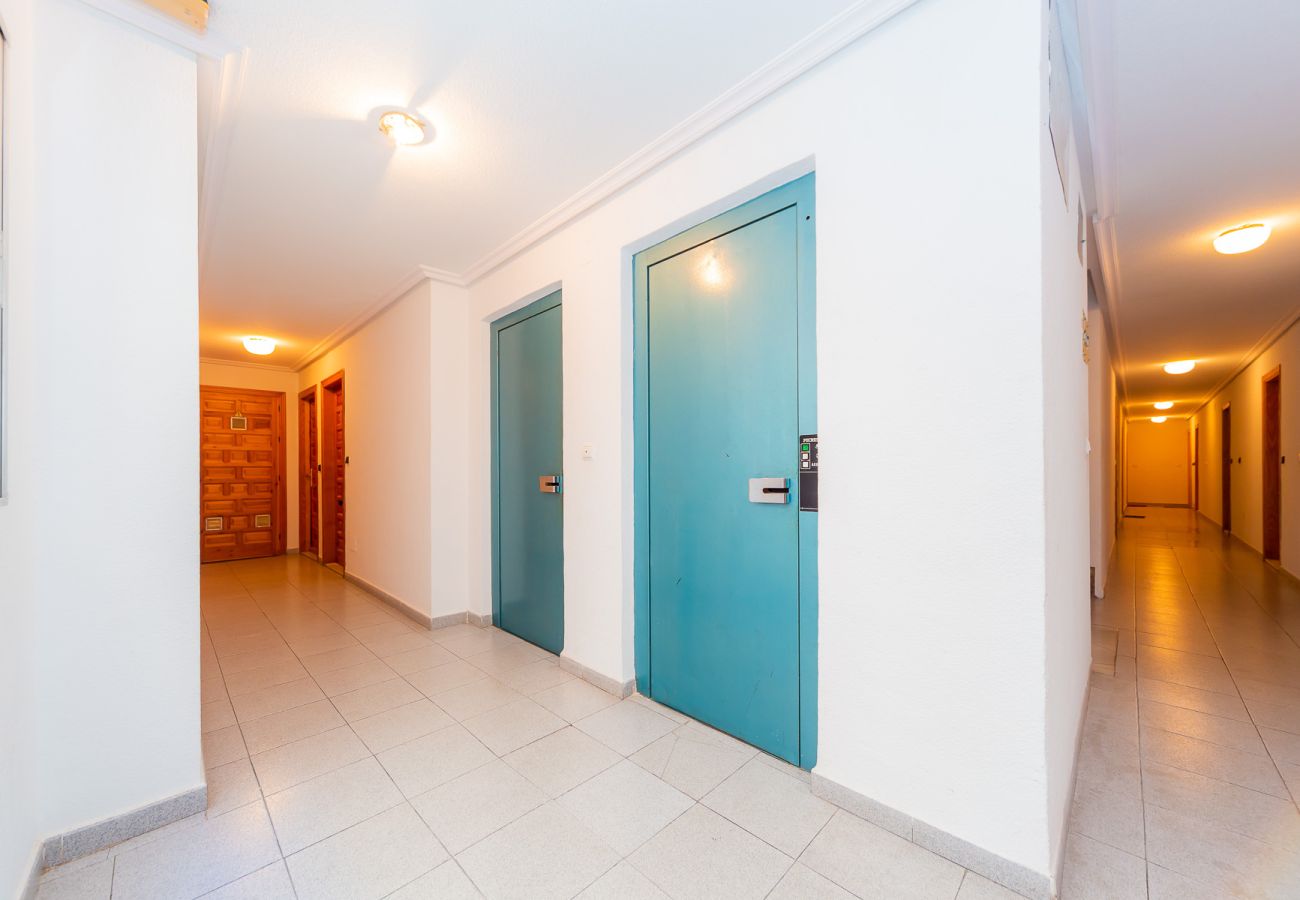 Apartment in Torrevieja - ID49