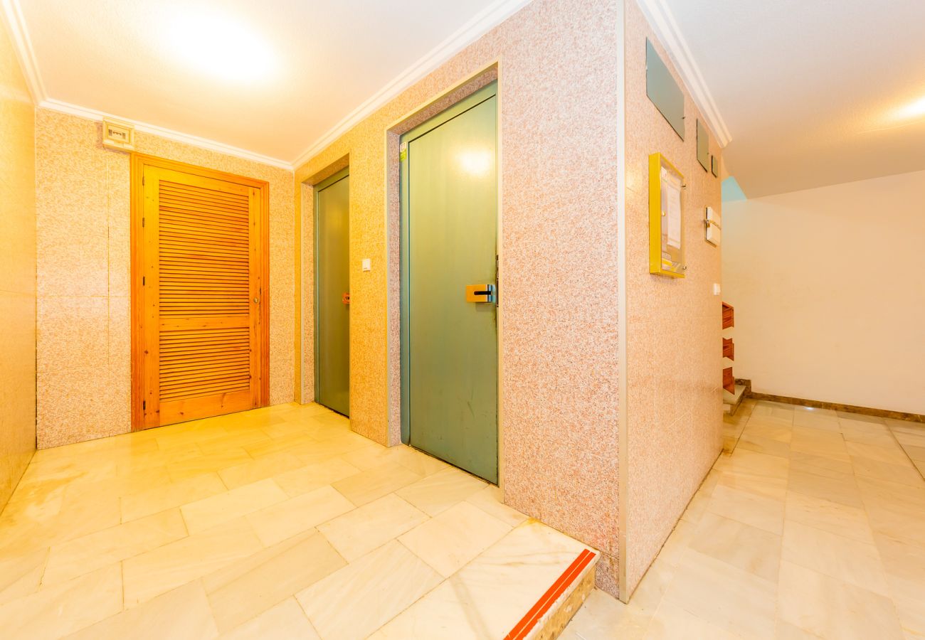 Apartment in Torrevieja - ID49