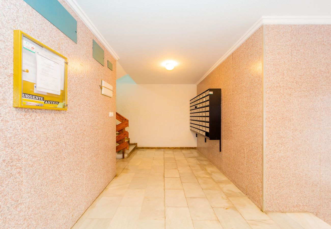 Apartment in Torrevieja - ID49