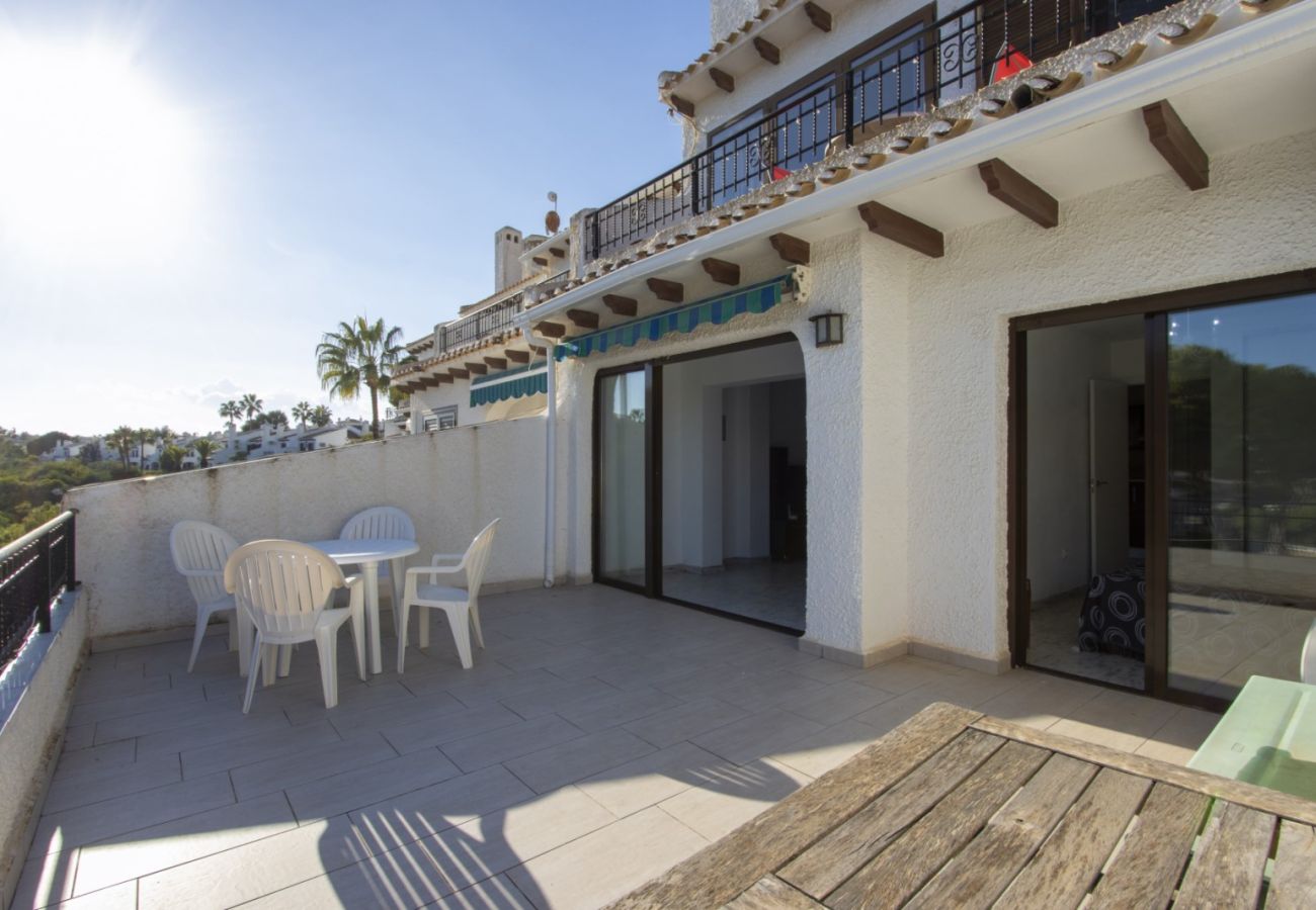 Apartment in Cabo Roig - ID53